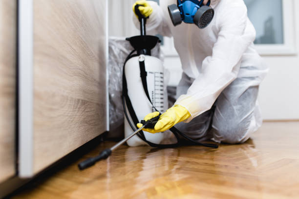 Best Exterminator Services  in Fulton, KY