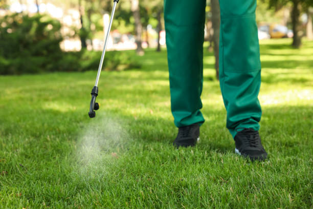 Best Pest Control for Businesses  in Fulton, KY